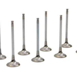 RCM Uprated Version 5+ Exhaust Valve Set