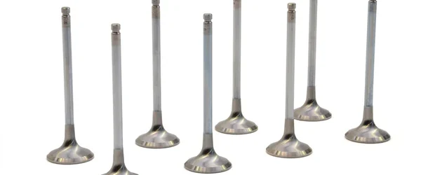 RCM Uprated Version 5+ Exhaust Valve Set