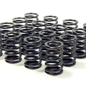 RCM V5/6 Uprated Valve Springs
