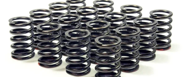 RCM V5/6 Uprated Valve Springs