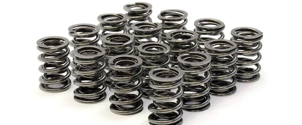 RCM Double Valve Spring Set