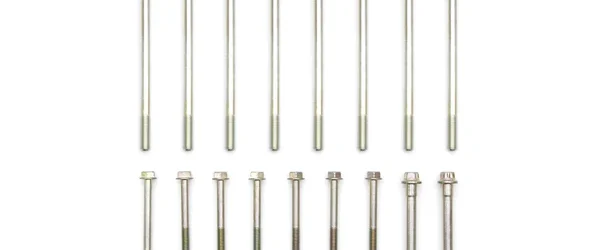 RCM Cylinder Block Case Bolt Kit
